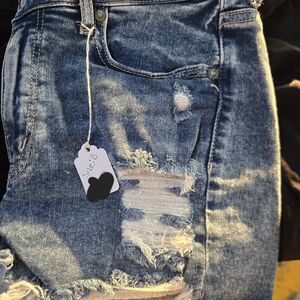 American Eagle Outfitters Blue Jean Shorts